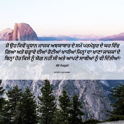 Picture 06 - ਮਰਕੁਸ 2:26 PANIRV - ਜੋ ਉਹ ਕਿਵੇਂ ਪ੍ਰਧਾਨ - Bible Verse Picture