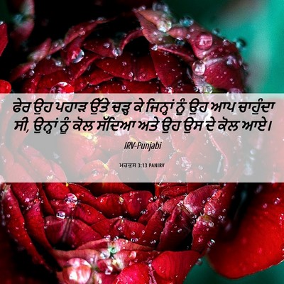 Picture 06 - ਮਰਕੁਸ 3:13 PANIRV - ਫੇਰ ਉਹ ਪਹਾੜ ਉੱਤੇ - Bible Verse Picture