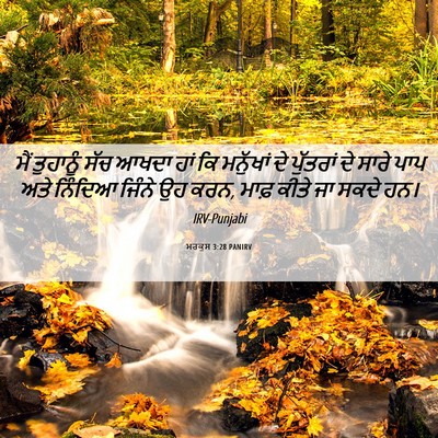 Picture 06 - ਮਰਕੁਸ 3:28 PANIRV - ਮੈਂ ਤੁਹਾਨੂੰ ਸੱਚ - Bible Verse Picture