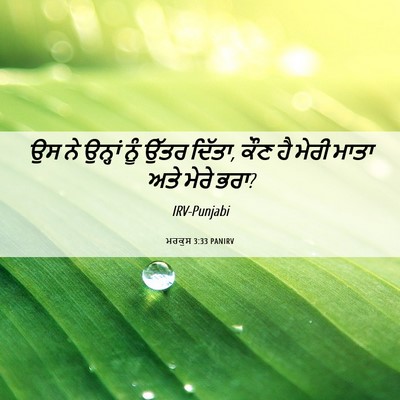 Picture 06 - ਮਰਕੁਸ 3:33 PANIRV - ਉਸ ਨੇ ਉਨ੍ਹਾਂ ਨੂੰ - Bible Verse Picture