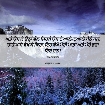 Picture 06 - ਮਰਕੁਸ 3:34 PANIRV - ਅਤੇ ਉਸ ਨੇ ਉਨ੍ਹਾਂ - Bible Verse Picture