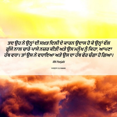 Picture 06 - ਮਰਕੁਸ 3:5 PANIRV - ਤਦ ਉਹ ਨੇ ਉਨ੍ਹਾਂ ਦੀ - Bible Verse Picture