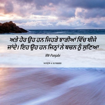 Picture 06 - ਮਰਕੁਸ 4:18 PANIRV - ਅਤੇ ਹੋਰ ਉਹ ਹਨ ਜਿਹੜੇ - Bible Verse Picture