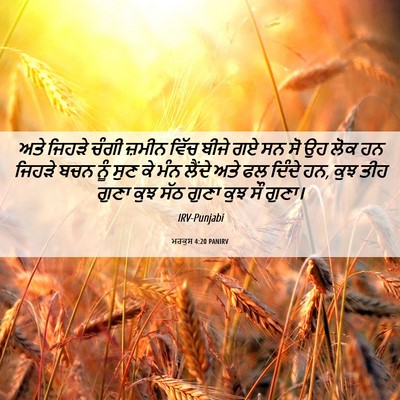 Picture 06 - ਮਰਕੁਸ 4:20 PANIRV - ਅਤੇ ਜਿਹੜੇ ਚੰਗੀ - Bible Verse Picture