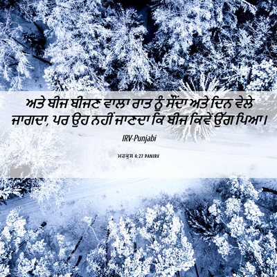 Picture 06 - ਮਰਕੁਸ 4:27 PANIRV - ਅਤੇ ਬੀਜ ਬੀਜਣ ਵਾਲਾ - Bible Verse Picture