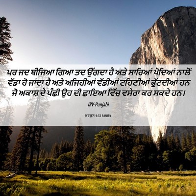 Picture 06 - ਮਰਕੁਸ 4:32 PANIRV - ਪਰ ਜਦ ਬੀਜਿਆ ਗਿਆ ਤਦ - Bible Verse Picture