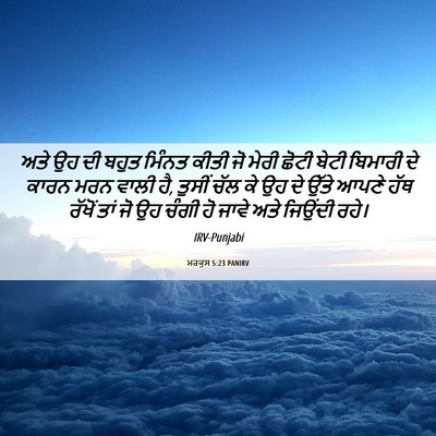 Picture 06 - ਮਰਕੁਸ 5:23 PANIRV - ਅਤੇ ਉਹ ਦੀ ਬਹੁਤ - Bible Verse Picture