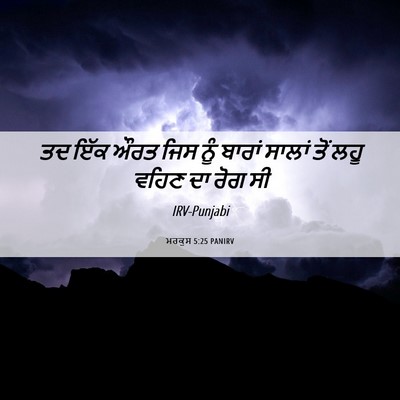 Picture 06 - ਮਰਕੁਸ 5:25 PANIRV - ਤਦ ਇੱਕ ਔਰਤ ਜਿਸ ਨੂੰ - Bible Verse Picture