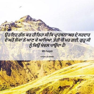 Picture 06 - ਮਰਕੁਸ 5:35 PANIRV - ਉਹ ਇਹ ਗੱਲ ਕਰ ਹੀ - Bible Verse Picture