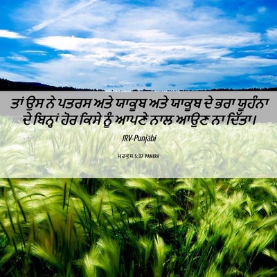 Picture 06 - ਮਰਕੁਸ 5:37 PANIRV - ਤਾਂ ਉਸ ਨੇ ਪਤਰਸ ਅਤੇ - Bible Verse Picture