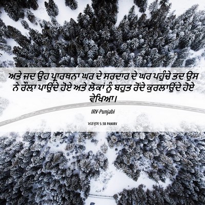 Picture 06 - ਮਰਕੁਸ 5:38 PANIRV - ਅਤੇ ਜਦ ਉਹ ਪ੍ਰਾਰਥਨਾ - Bible Verse Picture