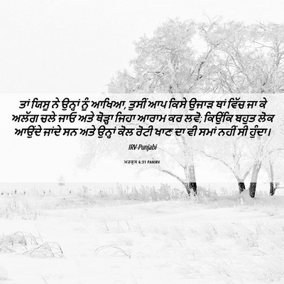 Picture 06 - ਮਰਕੁਸ 6:31 PANIRV - ਤਾਂ ਯਿਸੂ ਨੇ ਉਨ੍ਹਾਂ - Bible Verse Picture