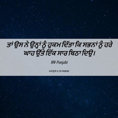 Picture 06 - ਮਰਕੁਸ 6:39 PANIRV - ਤਾਂ ਉਸ ਨੇ ਉਨ੍ਹਾਂ - Bible Verse Picture