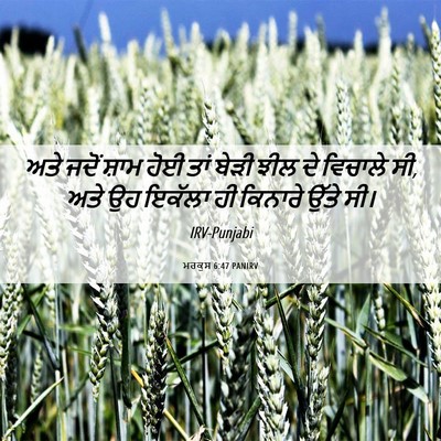 Picture 06 - ਮਰਕੁਸ 6:47 PANIRV - ਅਤੇ ਜਦੋਂ ਸ਼ਾਮ ਹੋਈ - Bible Verse Picture