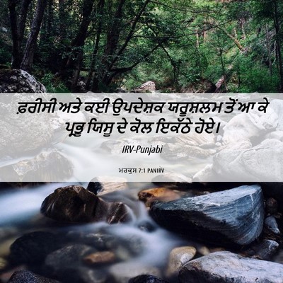 Picture 06 - ਮਰਕੁਸ 7:1 PANIRV - ਫ਼ਰੀਸੀ ਅਤੇ ਕਈ - Bible Verse Picture