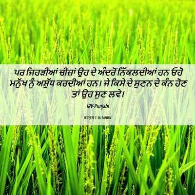 Picture 06 - ਮਰਕੁਸ 7:16 PANIRV - ਪਰ ਜਿਹੜੀਆਂ ਚੀਜ਼ਾਂ - Bible Verse Picture