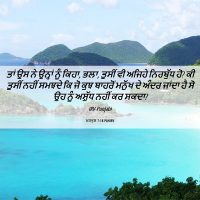 Picture 06 - ਮਰਕੁਸ 7:18 PANIRV - ਤਾਂ ਉਸ ਨੇ ਉਨ੍ਹਾਂ - Bible Verse Picture