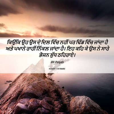Picture 06 - ਮਰਕੁਸ 7:19 PANIRV - ਕਿਉਂਕਿ ਉਹ ਉਸ ਦੇ ਦਿਲ - Bible Verse Picture
