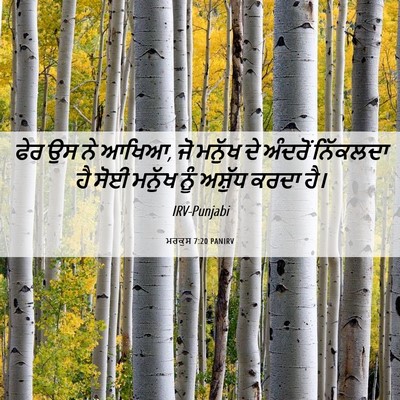 Picture 06 - ਮਰਕੁਸ 7:20 PANIRV - ਫੇਰ ਉਸ ਨੇ ਆਖਿਆ, ਜੋ - Bible Verse Picture