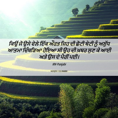 Picture 06 - ਮਰਕੁਸ 7:25 PANIRV - ਕਿਉਂ ਜੋ ਉਸੇ ਵੇਲੇ - Bible Verse Picture