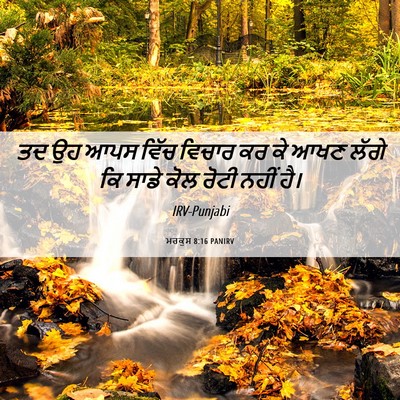 Picture 06 - ਮਰਕੁਸ 8:16 PANIRV - ਤਦ ਉਹ ਆਪਸ ਵਿੱਚ - Bible Verse Picture