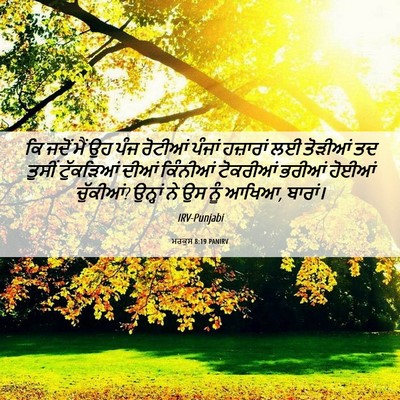 Picture 06 - ਮਰਕੁਸ 8:19 PANIRV - ਕਿ ਜਦੋਂ ਮੈਂ ਉਹ ਪੰਜ - Bible Verse Picture