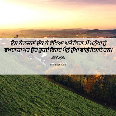 Picture 06 - ਮਰਕੁਸ 8:24 PANIRV - ਉਸ ਨੇ ਨਜ਼ਰਾਂ ਚੁੱਕ - Bible Verse Picture