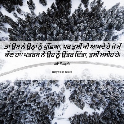 Picture 06 - ਮਰਕੁਸ 8:29 PANIRV - ਤਾਂ ਉਸ ਨੇ ਉਨ੍ਹਾਂ - Bible Verse Picture