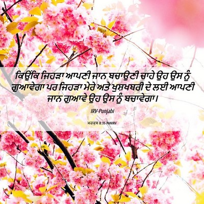 Picture 06 - ਮਰਕੁਸ 8:35 PANIRV - ਕਿਉਂਕਿ ਜਿਹੜਾ ਆਪਣੀ - Bible Verse Picture