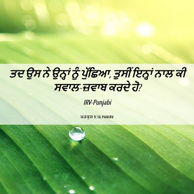 Picture 06 - ਮਰਕੁਸ 9:16 PANIRV - ਤਦ ਉਸ ਨੇ ਉਨ੍ਹਾਂ ਨੂੰ - Bible Verse Picture
