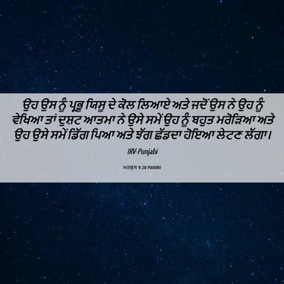Picture 06 - ਮਰਕੁਸ 9:20 PANIRV - ਉਹ ਉਸ ਨੂੰ ਪ੍ਰਭੂ - Bible Verse Picture
