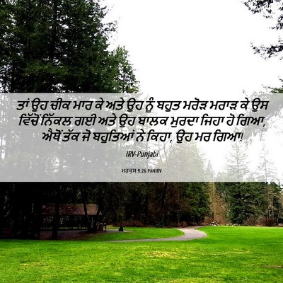 Picture 06 - ਮਰਕੁਸ 9:26 PANIRV - ਤਾਂ ਉਹ ਚੀਕ ਮਾਰ ਕੇ - Bible Verse Picture