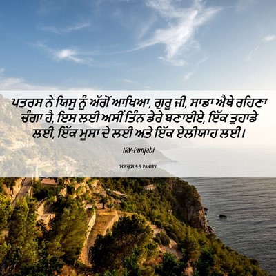Picture 06 - ਮਰਕੁਸ 9:5 PANIRV - ਪਤਰਸ ਨੇ ਯਿਸੂ ਨੂੰ - Bible Verse Picture