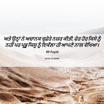 Picture 06 - ਮਰਕੁਸ 9:8 PANIRV - ਅਤੇ ਉਨ੍ਹਾਂ ਨੇ - Bible Verse Picture