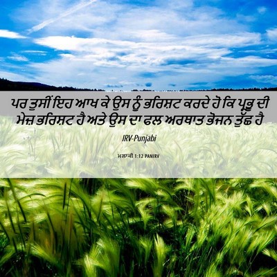 Picture 06 - ਮਲਾਕੀ 1:12 PANIRV - ਪਰ ਤੁਸੀਂ ਇਹ ਆਖ ਕੇ - Bible Verse Picture
