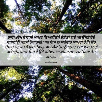Picture 06 - ਮਲਾਕੀ 1:4 PANIRV - ਭਾਵੇਂ ਅਦੋਮ ਦੇ ਵਾਸੀ - Bible Verse Picture