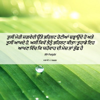 Picture 06 - ਮਲਾਕੀ 1:7 PANIRV - ਤੁਸੀਂ ਮੇਰੀ ਜਗਵੇਦੀ - Bible Verse Picture