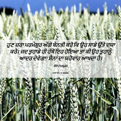 Picture 06 - ਮਲਾਕੀ 1:9 PANIRV - ਹੁਣ ਜ਼ਰਾ ਪਰਮੇਸ਼ੁਰ - Bible Verse Picture