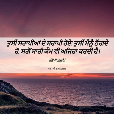 Picture 06 - ਮਲਾਕੀ 3:9 PANIRV - ਤੁਸੀਂ ਸਰਾਪੀਆਂ ਦੇ - Bible Verse Picture