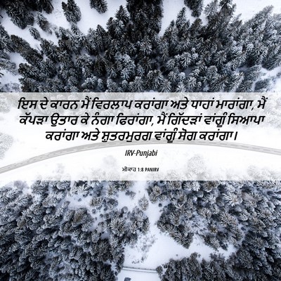 Picture 06 - ਮੀਕਾਹ 1:8 PANIRV - ਇਸ ਦੇ ਕਾਰਨ ਮੈਂ - Bible Verse Picture