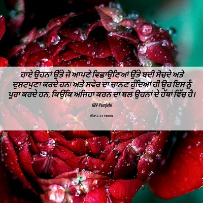 Picture 06 - ਮੀਕਾਹ 2:1 PANIRV - ਹਾਏ ਉਹਨਾਂ ਉੱਤੇ ਜੋ - Bible Verse Picture