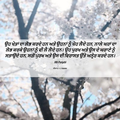 Picture 06 - ਮੀਕਾਹ 2:2 PANIRV - ਉਹ ਖੇਤਾਂ ਦਾ ਲੋਭ - Bible Verse Picture