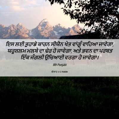 Picture 06 - ਮੀਕਾਹ 3:12 PANIRV - ਇਸ ਲਈ ਤੁਹਾਡੇ ਕਾਰਨ - Bible Verse Picture