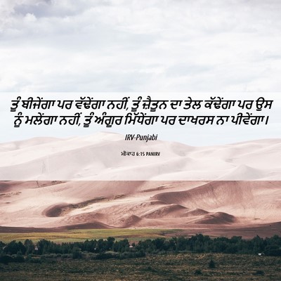 Picture 06 - ਮੀਕਾਹ 6:15 PANIRV - ਤੂੰ ਬੀਜੇਂਗਾ ਪਰ - Bible Verse Picture