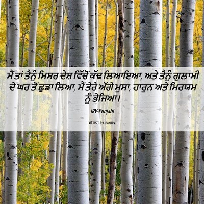 Picture 06 - ਮੀਕਾਹ 6:4 PANIRV - ਮੈਂ ਤਾਂ ਤੈਨੂੰ ਮਿਸਰ - Bible Verse Picture