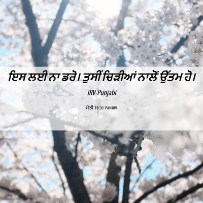 Picture 06 - ਮੱਤੀ 10:31 PANIRV - ਇਸ ਲਈ ਨਾ ਡਰੋ। ਤੁਸੀਂ - Bible Verse Picture