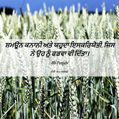 Picture 06 - ਮੱਤੀ 10:4 PANIRV - ਸ਼ਮਊਨ ਕਨਾਨੀ ਅਤੇ - Bible Verse Picture
