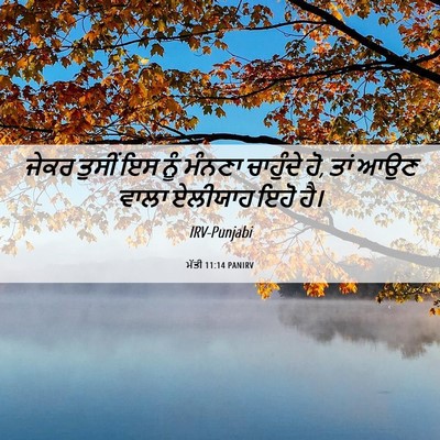 Picture 06 - ਮੱਤੀ 11:14 PANIRV - ਜੇਕਰ ਤੁਸੀਂ ਇਸ ਨੂੰ - Bible Verse Picture