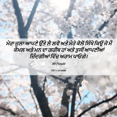 Picture 06 - ਮੱਤੀ 11:29 PANIRV - ਮੇਰਾ ਜੂਲਾ ਆਪਣੇ - Bible Verse Picture