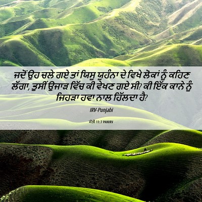 Picture 06 - ਮੱਤੀ 11:7 PANIRV - ਜਦੋਂ ਉਹ ਚਲੇ ਗਏ ਤਾਂ - Bible Verse Picture